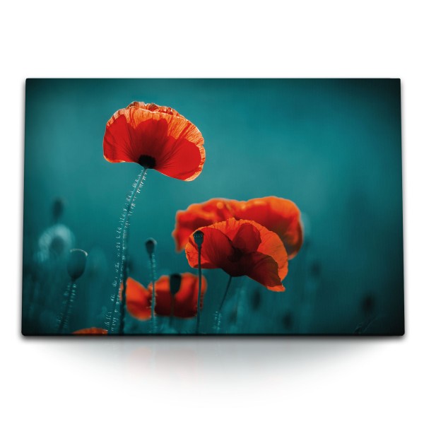 Paul Sinus Art 120x80cm Wandbild auf Leinwand Mohnblumen Rote Blumen Wildblumen Natur