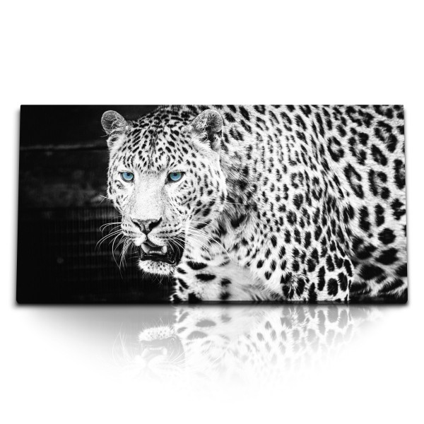 Paul Sinus Art Kunstdruck Bilder 120x60cm Jaguar Raubtier Tierfotografie blaue Augen Leopard