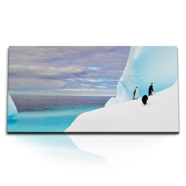 Paul Sinus Art Kunstdruck Bilder 120x60cm Pinguine Eis Eisberg Südpol Blau Ozean