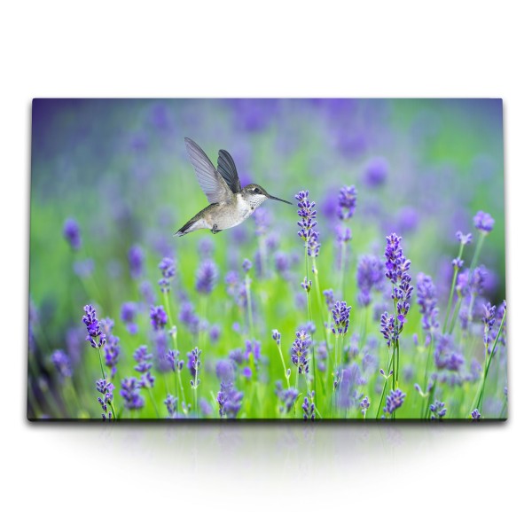 Paul Sinus Art 120x80cm Wandbild auf Leinwand Lavendel Blumen Blumenwiese Kolibri kleiner Vogel