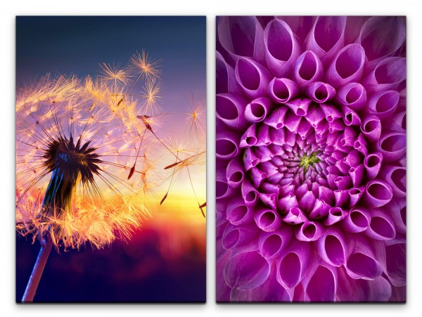 Paul Sinus Art 2 Bilder je 60x90cm Dahlie Pusteblume Sommer Sonnenuntergang Warm Dekorativ Farbenfroh