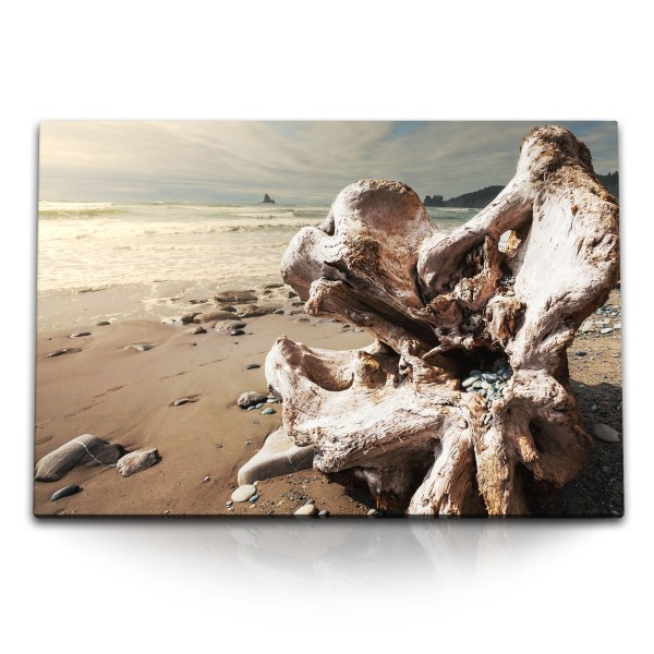 Paul Sinus Art 120x80cm Wandbild auf Leinwand Treibholz Strand Meer Sandstrand Ozean