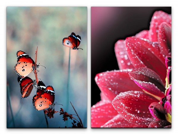 Paul Sinus Art 2 Bilder je 60x90cm Zinnien Sommer Schmetterlinge rote Blüte Idyllisch Fotokunst Makrofotografie