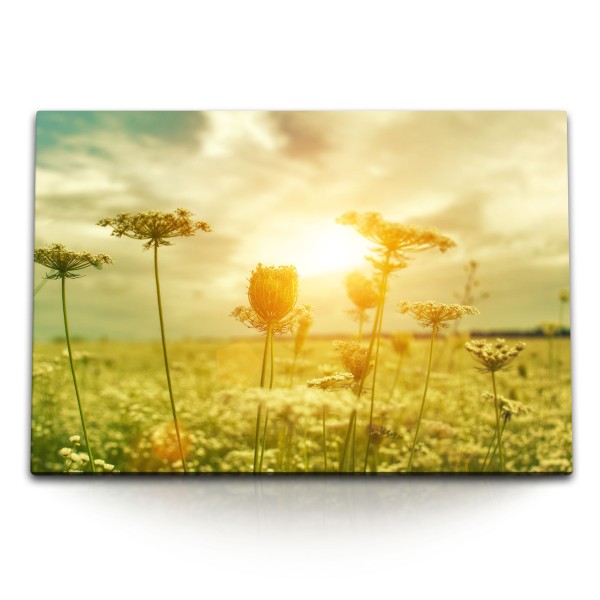 Paul Sinus Art 120x80cm Wandbild auf Leinwand Sommer Sonne Sonnenschein Blumen Felder Gewächs