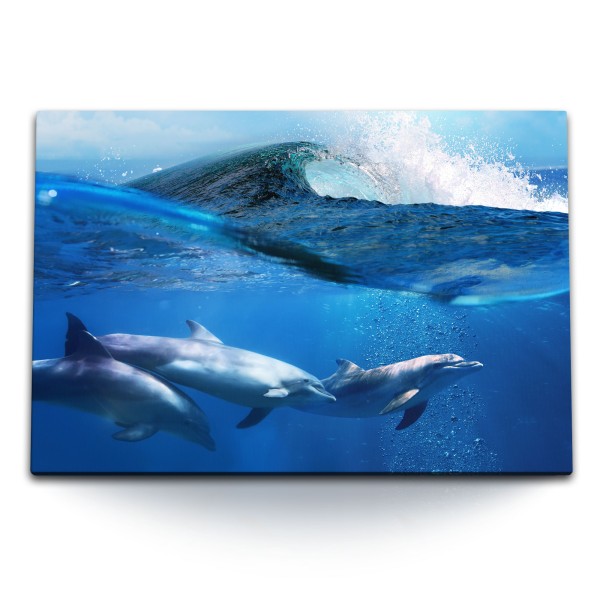 Paul Sinus Art 120x80cm Wandbild auf Leinwand Delphine Meer Ozean Blau Wellen unter Wasser