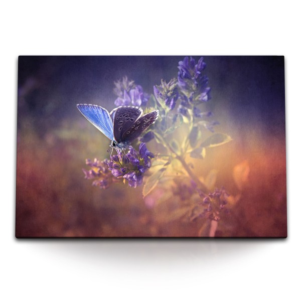 120x80cm Wandbild auf Leinwand Schmetterling Lavendel Fotokunst Natur Kunstvoll