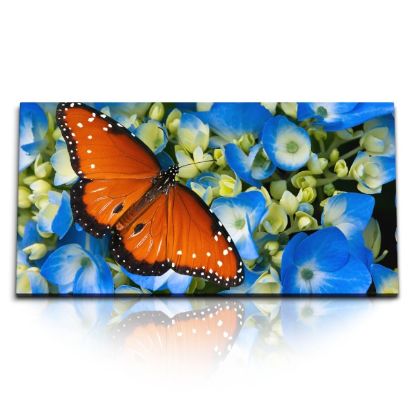 Paul Sinus Art Kunstdruck Bilder 120x60cm Schmetterling auf blauen Blumen Blüten Fotokunst