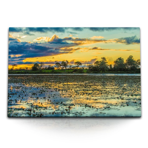 Paul Sinus Art 120x80cm Wandbild auf Leinwand Pantanal Nationalpark Brasilien Abendrot Natur Fluss