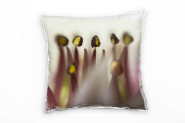 Paul Sinus Art Macro, Blumen, weiß, braun, grün Deko Kissen 40x40cm für Couch Sofa Lounge Zierkissen