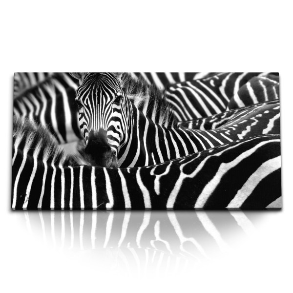 Paul Sinus Art Kunstdruck Bilder 120x60cm Afrika Tierfotografie Schwarz Weiß Zebras Zebraherde