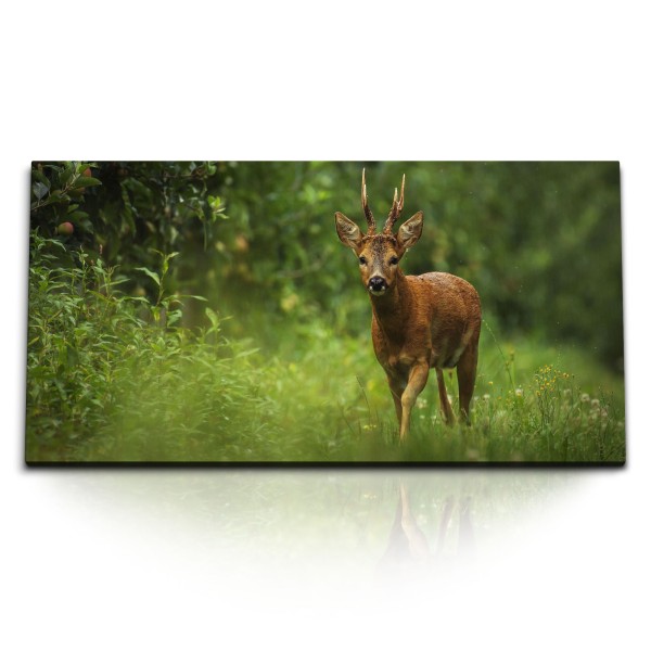 Paul Sinus Art Kunstdruck Bilder 120x60cm Junger Hirsch im Wald Natur Grün Tierfotografie