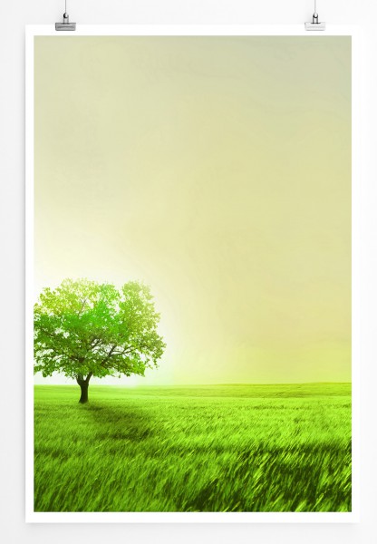 Paul Sinus Art 90x60cm Poster Grüne Wiese mit einsamen Baum