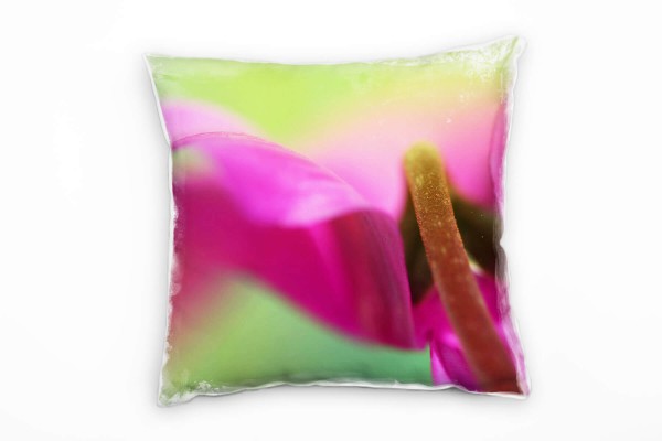 Paul Sinus Art Macro, Blumen, Blüte, pink, grün Deko Kissen 40x40cm für Couch Sofa Lounge Zierkissen