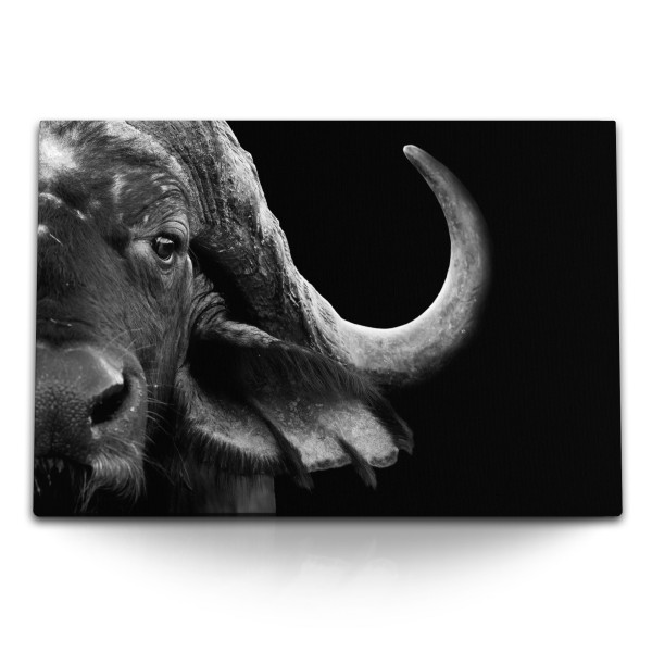 Paul Sinus Art 120x80cm Wandbild auf Leinwand Tierfotografie Wasserbüffel Büffel Schwarz Weiß