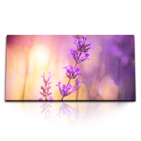 Paul Sinus Art Kunstdruck Bilder 120x60cm Lavendel Blumen Violett Lila Fotokunst Sonnenschein