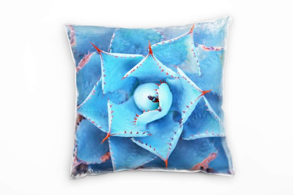 Paul Sinus Art Macro, Natur, blau, orange, Agave Deko Kissen 40x40cm für Couch Sofa Lounge Zierkissen