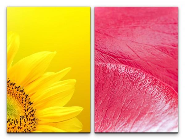 Paul Sinus Art 2 Bilder je 60x90cm Sonnenblume Gelb Rosa Blüte Warm Nahaufnahme Makrofotografie