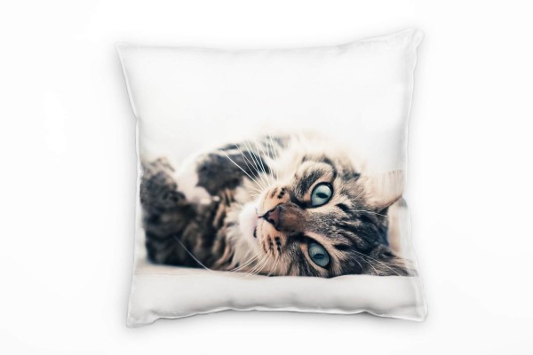 Paul Sinus Art Tiere, liegende Katze, grau, weiß Deko Kissen 40x40cm für Couch Sofa Lounge Zierkissen