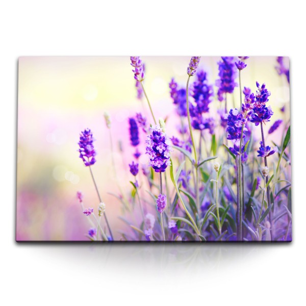 120x80cm Wandbild auf Leinwand Lavendel Blumen Sommer Sonnenschein Violett