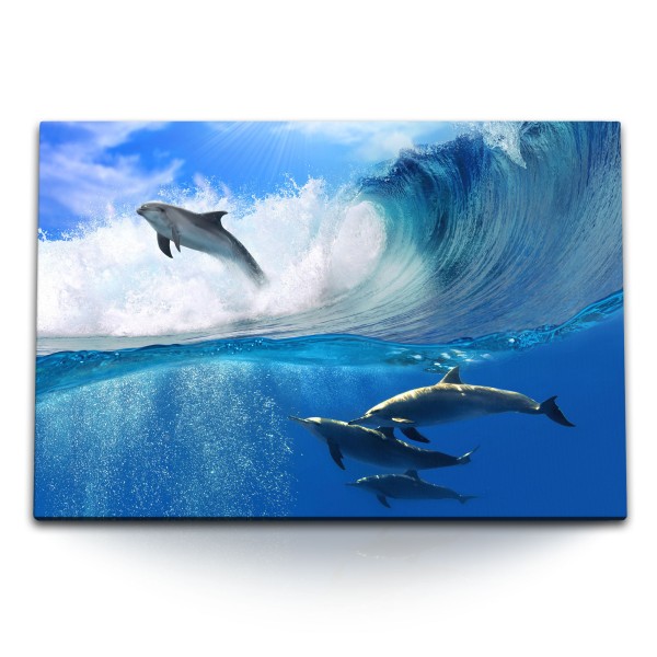 Paul Sinus Art 120x80cm Wandbild auf Leinwand Delphine Surfen Wellen Blau Meer unter Wasser