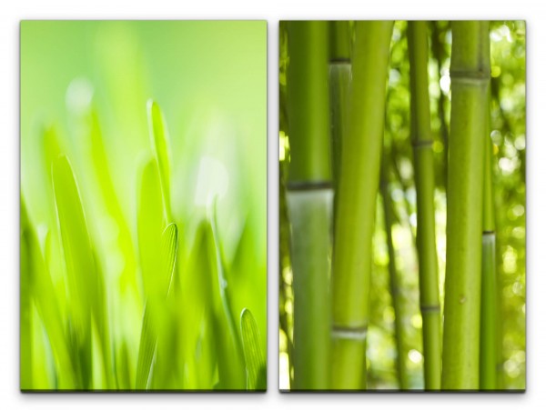 Paul Sinus Art 2 Bilder je 60x90cm Gras Grashalme Bambus Asien Sommer Frisch Makrofotografie