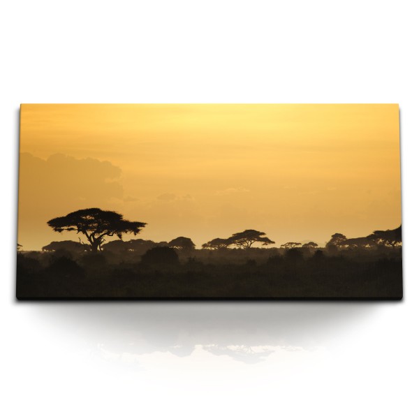 Paul Sinus Art Kunstdruck Bilder 120x60cm Abendrot afrikanische Landschaft Sonnenuntergang Natur