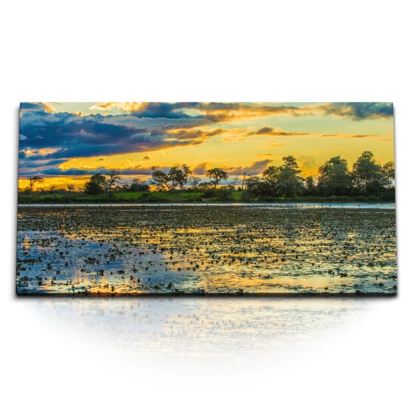 Paul Sinus Art Kunstdruck Bilder 120x60cm Pantanal Nationalpark Brasilien Abendrot Natur Fluss