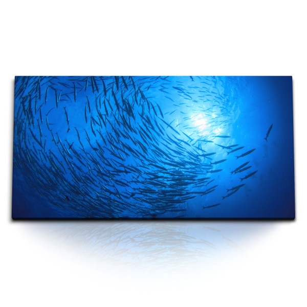 Paul Sinus Art Kunstdruck Bilder 120x60cm Ozean Blau Fische Schwarmfisch unter Wasser