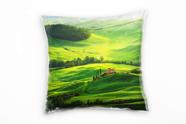 Paul Sinus Art Landschaften, Baum,grüne Wiese, blauer Himmel Deko Kissen 40x40cm für Couch Sofa Lounge Zierkissen