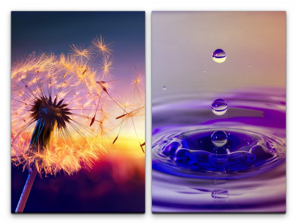 Paul Sinus Art 2 Bilder je 60x90cm Pusteblume Wassertropfen Zeitlupe Sonnenstrahlen Wärme Dekorativ Fotokunst