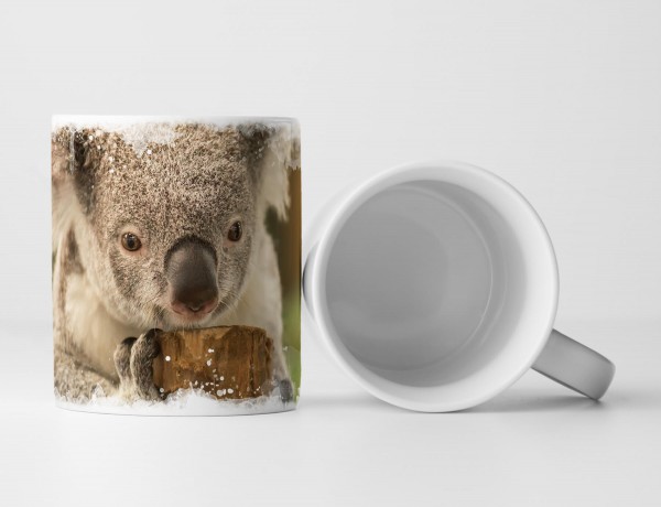 Paul Sinus Art Tasse Geschenk Kleiner Koalabär