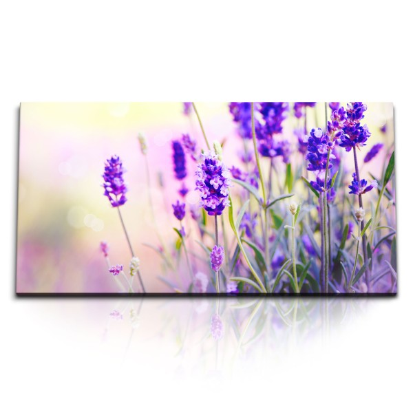 Paul Sinus Art Kunstdruck Bilder 120x60cm Lavendel Blumen Sommer Sonnenschein Violett