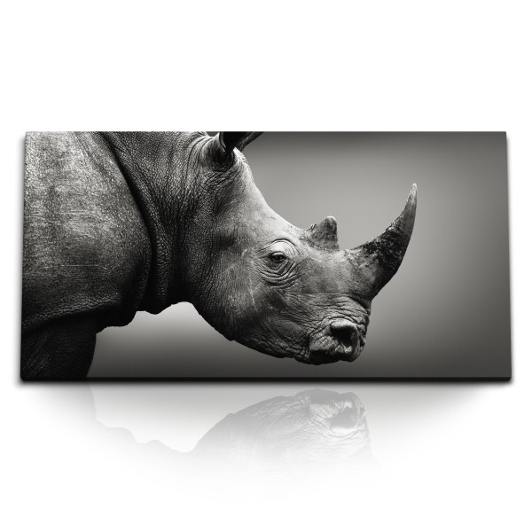 Paul Sinus Art Kunstdruck Bilder 120x60cm Nashorn Tierfotografie Kunstvoll Grau Schwarz Weiß