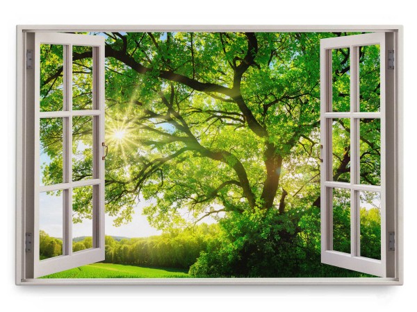 Paul Sinus Art Wandbild 120x80cm Fensterbild Grüne Baumkrone Baum Natur Landschaft Sommer