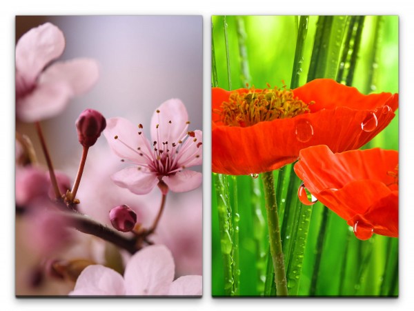 Paul Sinus Art 2 Bilder je 60x90cm Kirschblüte Frühling Sommer rote Blumen Wassertropfen Fotokunst Makrofotografie