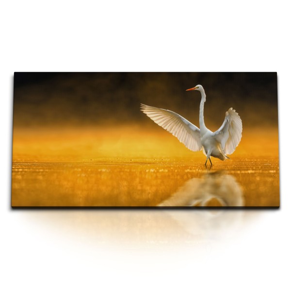 Paul Sinus Art Kunstdruck Bilder 120x60cm Silberreiher Abendröte Tierfotografie Natur weißen Vogel