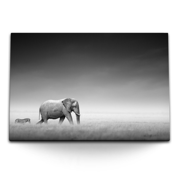 Paul Sinus Art 120x80cm Wandbild auf Leinwand Elefant mit Zebra Schwarz Weiß Tierfotografie Afrika