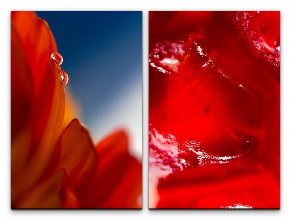 Paul Sinus Art 2 Bilder je 60x90cm Blumen rote Blüte Rot Wärme Sommer Kunstvoll Makrofotografie