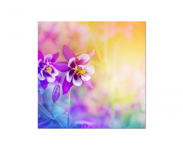 80x80cm Blume Blüte bunt Hintergrund