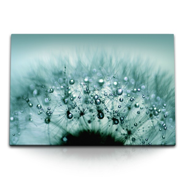 Paul Sinus Art 120x80cm Wandbild auf Leinwand Makrofotografie Pusteblume Tropfen Regentropfen Türkis