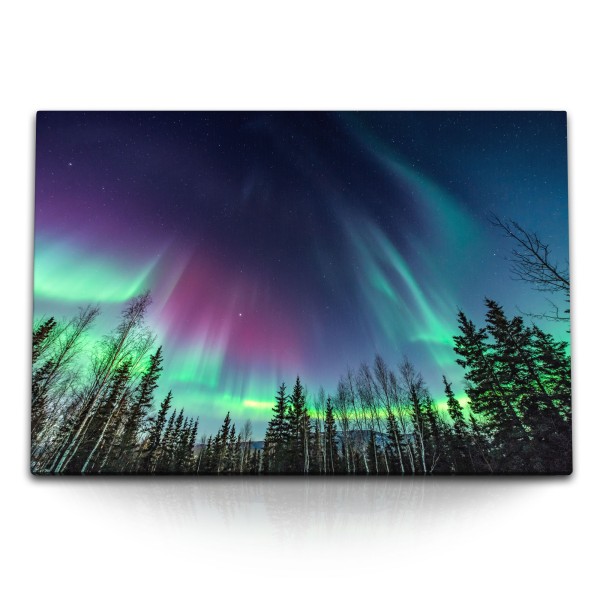 Paul Sinus Art 120x80cm Wandbild auf Leinwand Polar Nachthimmel Norden Tannen Sternenhimmel