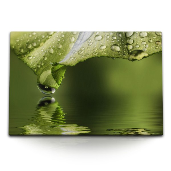 Paul Sinus Art 120x80cm Wandbild auf Leinwand Grüne Blüte Wasser Wassertropfen Kunstvoll Bach