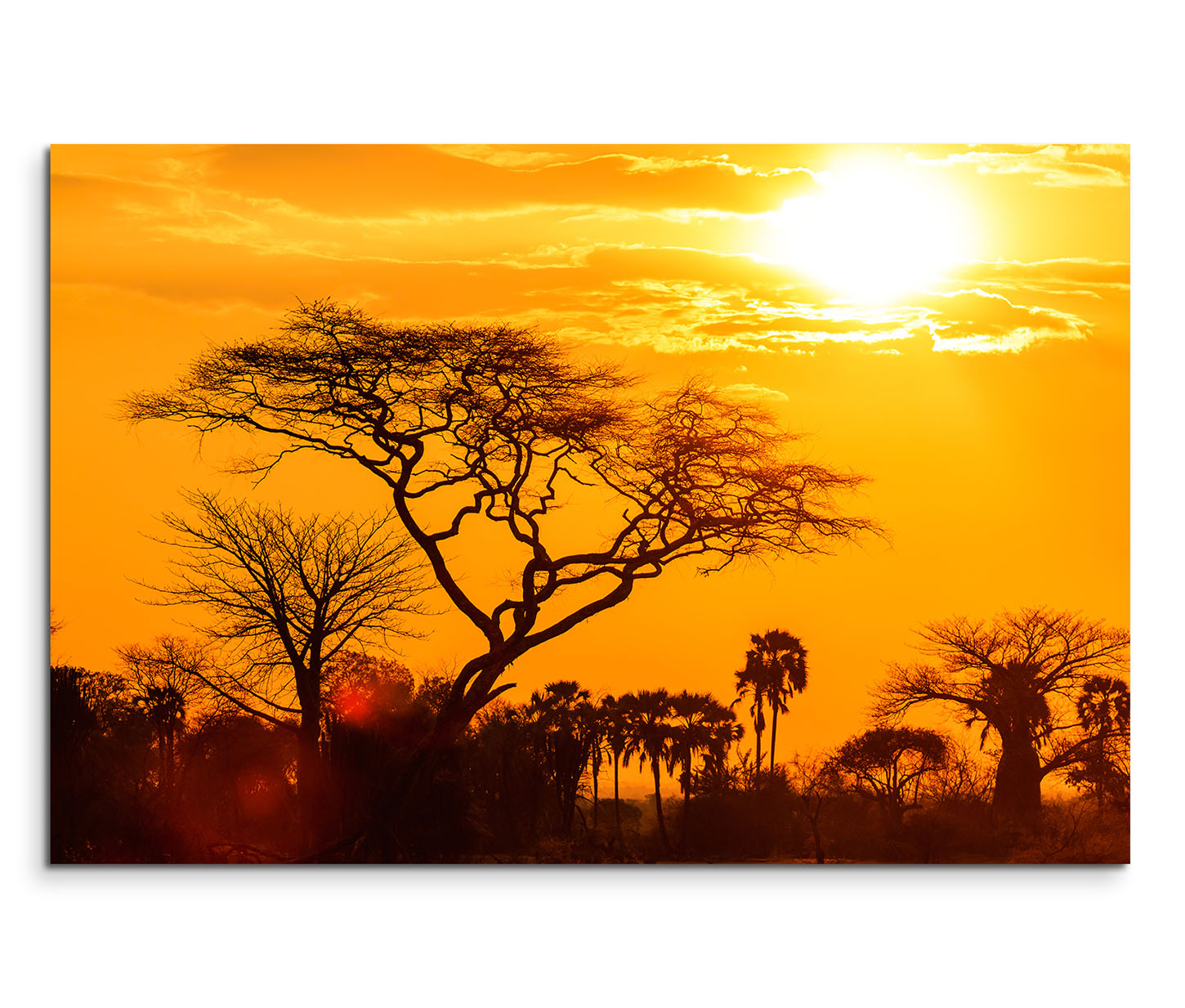 1x80cm Wandbild Afrika Baume Savanne Sonnenuntergang Sinus Art Einzigartige Designs Geschenke Wandbilder Wohnaccessoires Zu Fairen Preisen