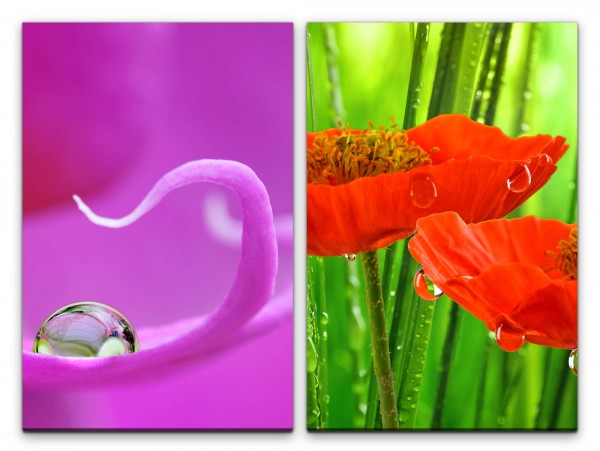 Paul Sinus Art 2 Bilder je 60x90cm Orchidee Wassertropfen Lila rote Blumen Sommer Sanft Beruhigend