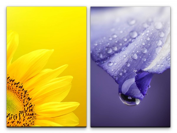 Paul Sinus Art 2 Bilder je 60x90cm Sonnenblume Gelb Violett Tropfen Nahaufnahme Blumen Sommer