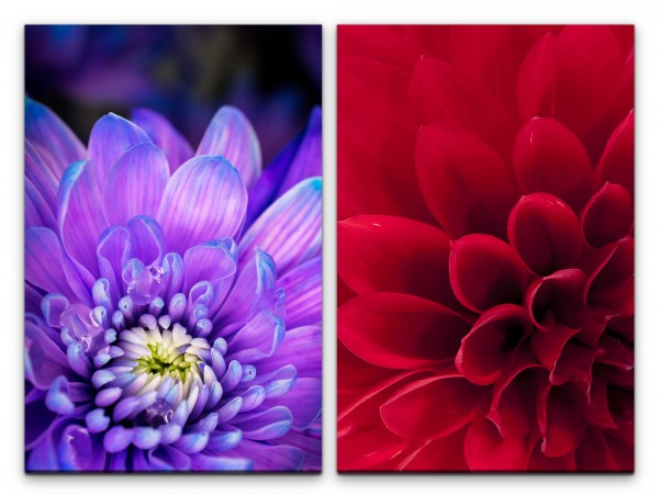 Paul Sinus Art 2 Bilder je 60x90cm Dahlie Zinnien roter Blüte Blumen Sommer Romantisch Makrofotografie