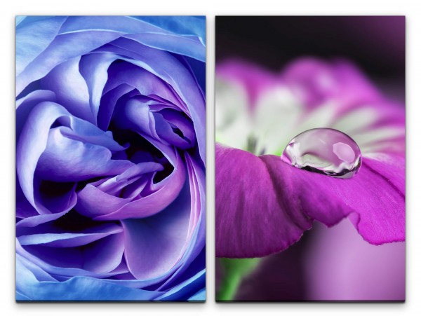 Paul Sinus Art 2 Bilder je 60x90cm Blüte Blume Violett Wassertropfen Nahaufnahme Fotokunst Tulpe