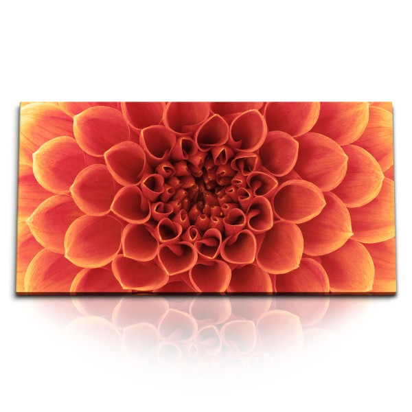 Paul Sinus Art Kunstdruck Bilder 120x60cm Dahlie Blume Blüte Nahaufnahme Rot