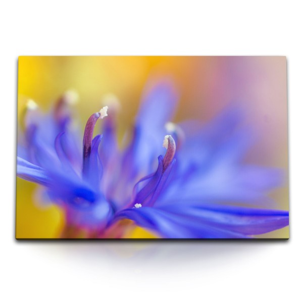 Paul Sinus Art 120x80cm Wandbild auf Leinwand Blaue Blume Blüte Nahaufnahme Kunstvoll