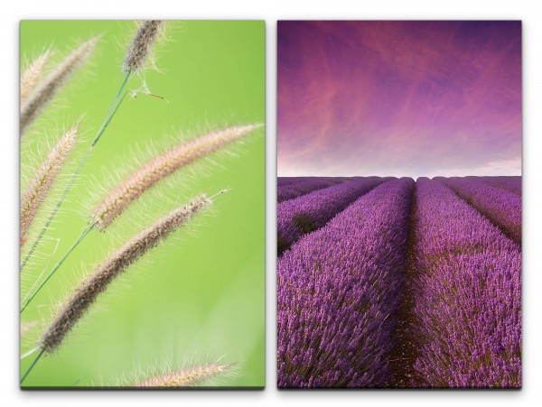 Paul Sinus Art 2 Bilder je 60x90cm Lavendelfeld Lavendel Weizen Violett Grün Horizont Halme